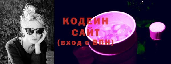 хмурый Горняк
