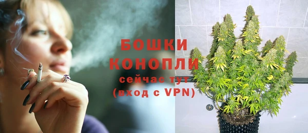 спиды Горно-Алтайск
