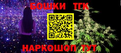 ешки Гатчина