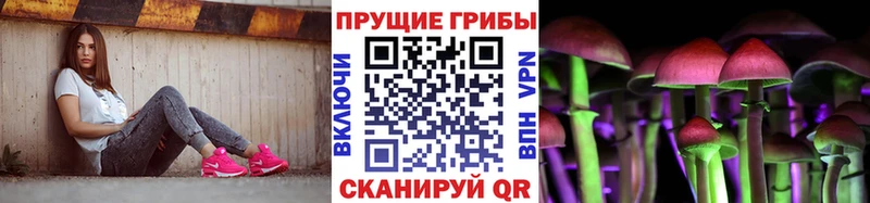Псилоцибиновые грибы мицелий  площадка Telegram  omg зеркало  Губкин  дарнет шоп 
