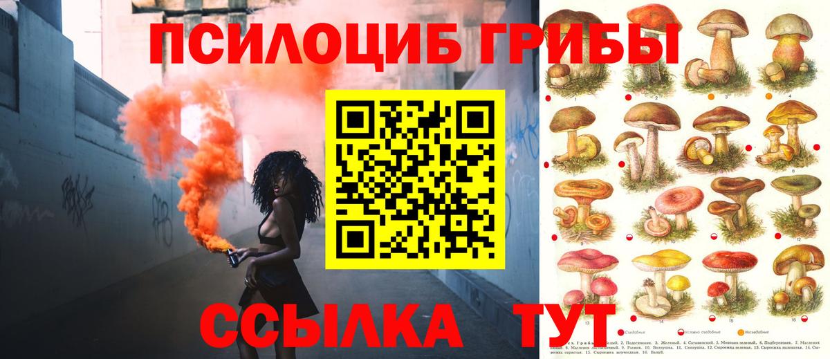 Псилоцибиновые грибы мицелий Губкин