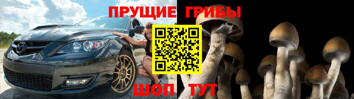 Губкин  Галлюциногенные грибы ЛСД  Вход с VPN  Галлюциногенные грибы Psilocybine cubensis 